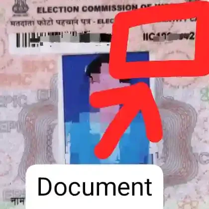 document number kya hota hai