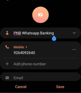 PNB CONTACT NUMBER