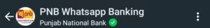 pnb whatsapp banking