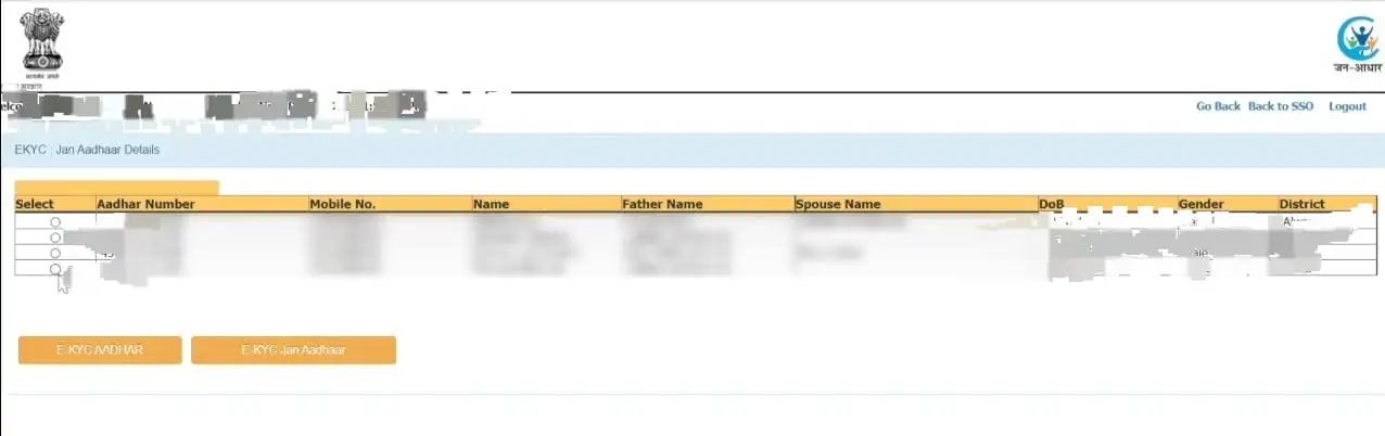 jan aadhar update